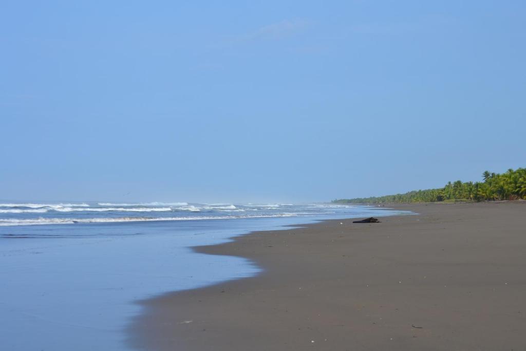 Hotel La Isla Parrita Kültér fotó