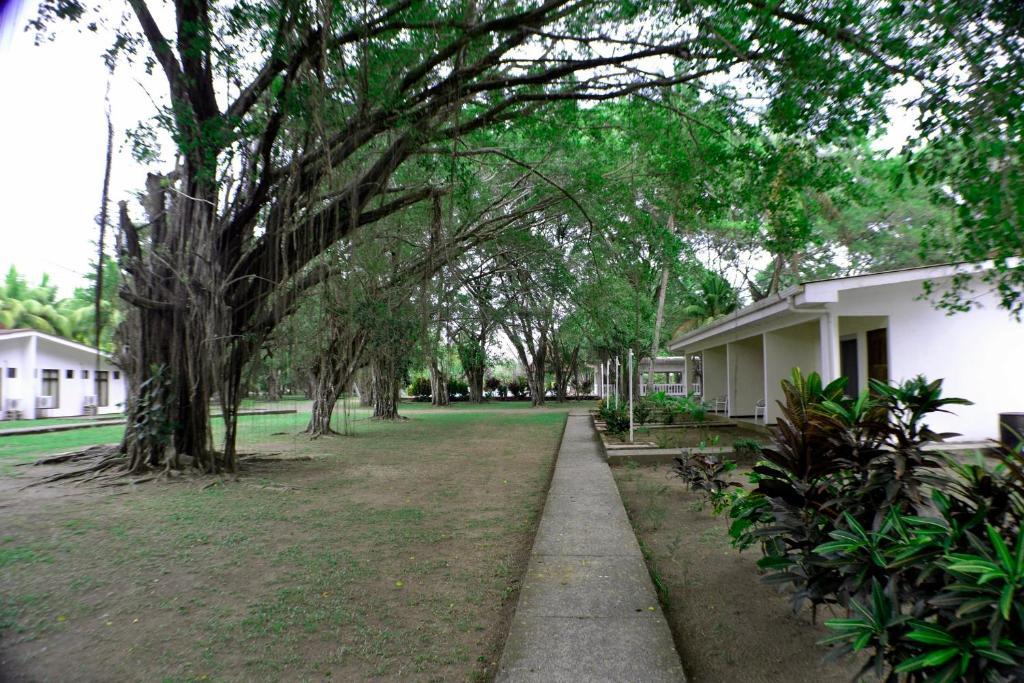 Hotel La Isla Parrita Kültér fotó